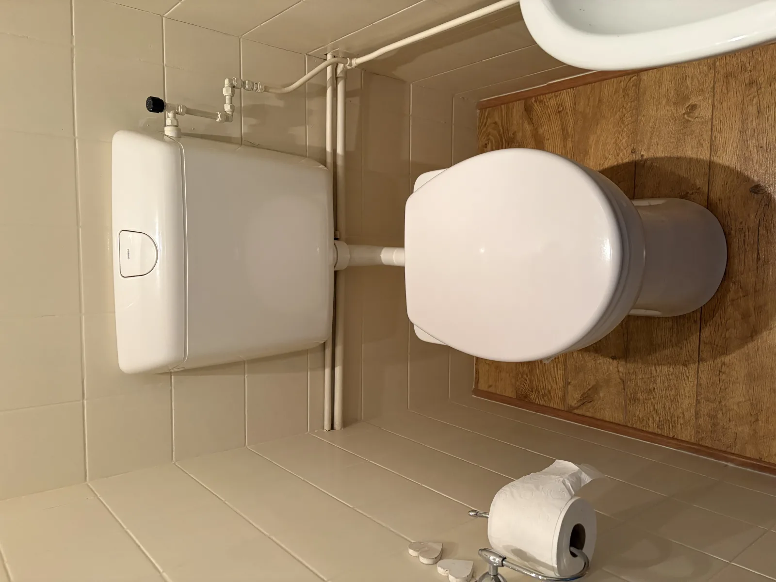 Toilet vervangen